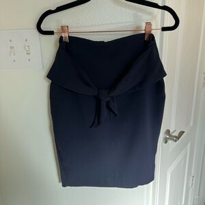 Express Navy Pencil Skirt